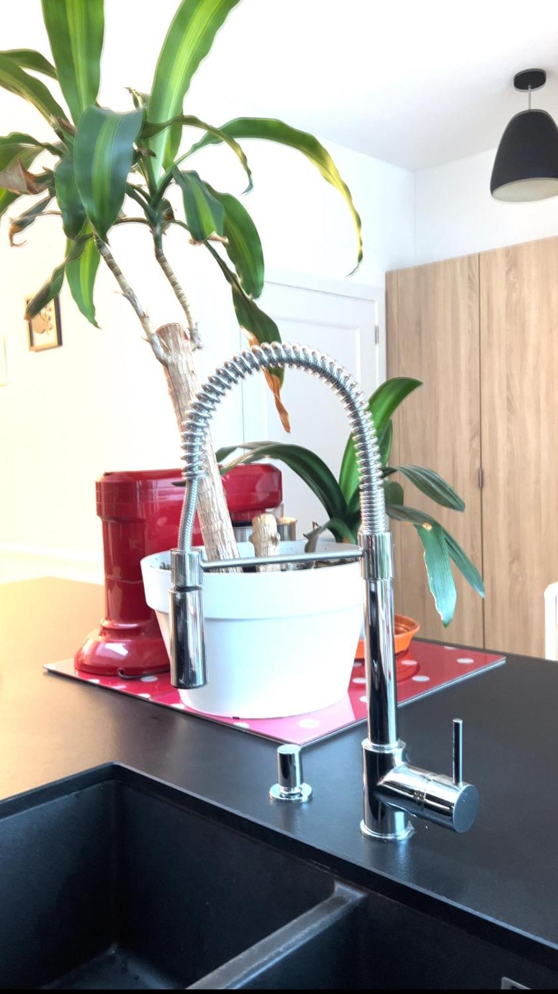 Appartement 3 Chambres Centre Vilvoorde Bruxelles Brusselsairport Expo Nato Anvers Wifi Free Parking Buitenkant foto